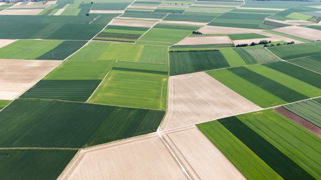 Green fields photographed from the air