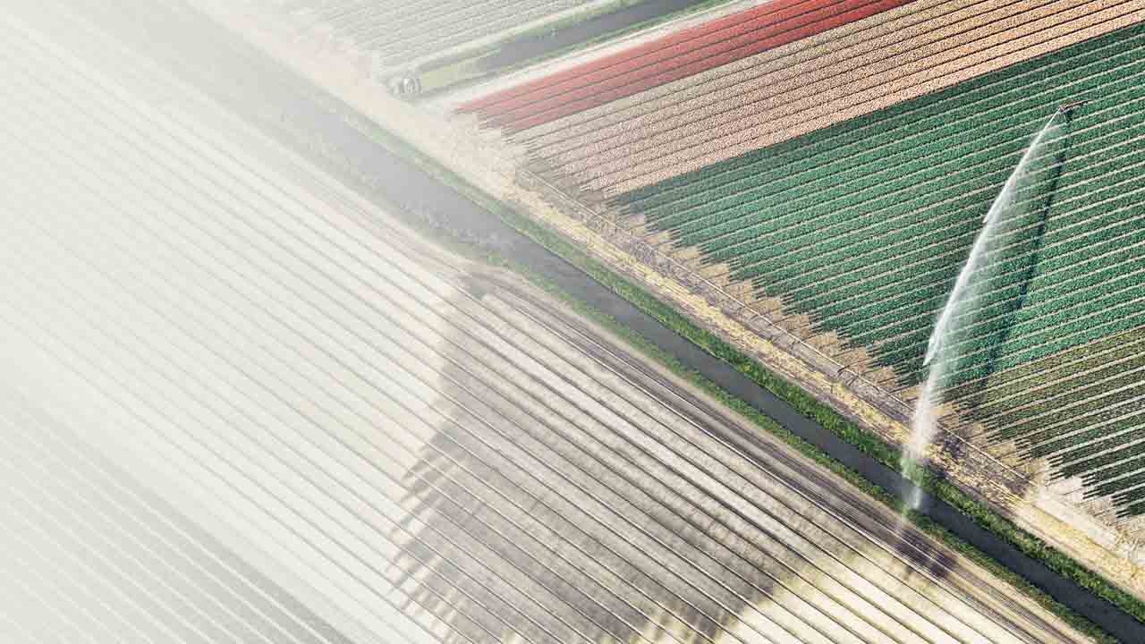 Watering to fields
