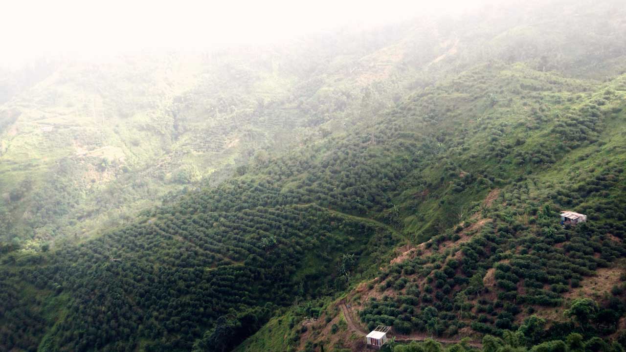 Landscape photo from an airplane
