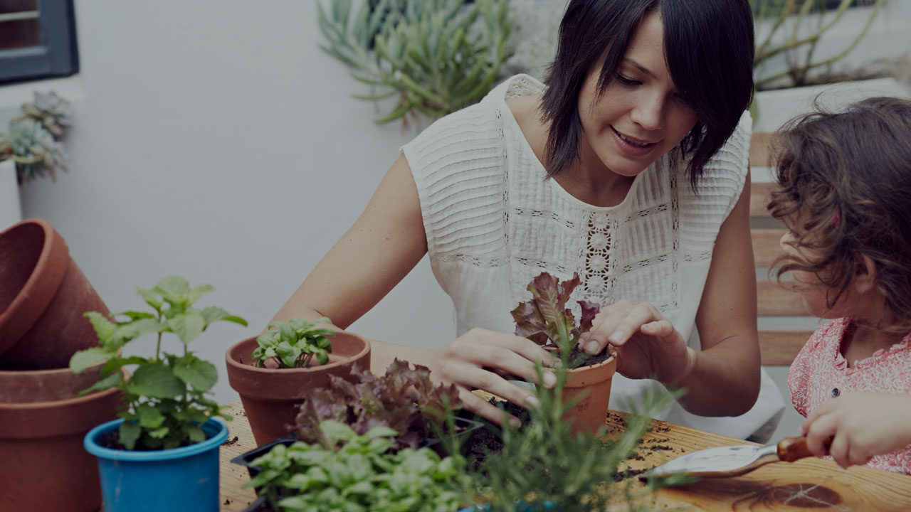 Mor og datter planter blomster