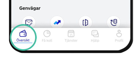 Mobile app overview menu