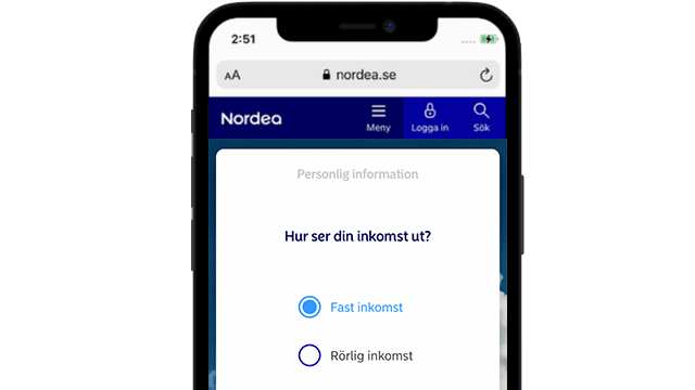 Nora screenshot - inkomst