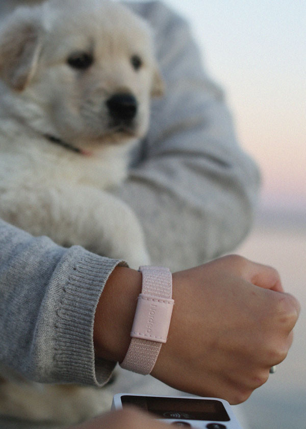 Nordea betalarmband barn med hunden